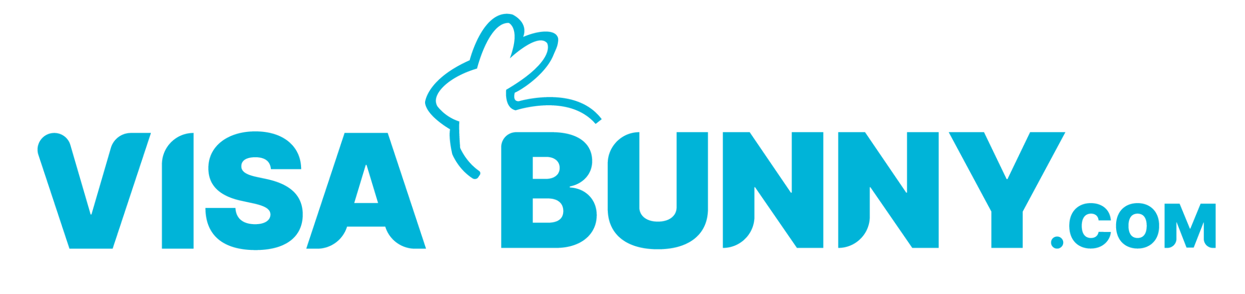 VisaBunny